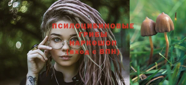 винт Зерноград