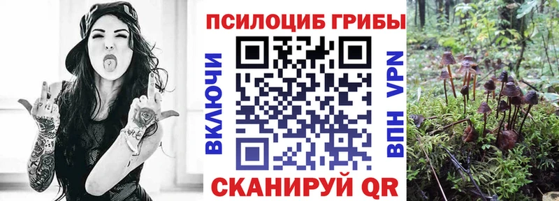 Псилоцибиновые грибы Psilocybe  продажа наркотиков  маркетплейс Telegram  Удачный  ОМГ ОМГ ссылки 